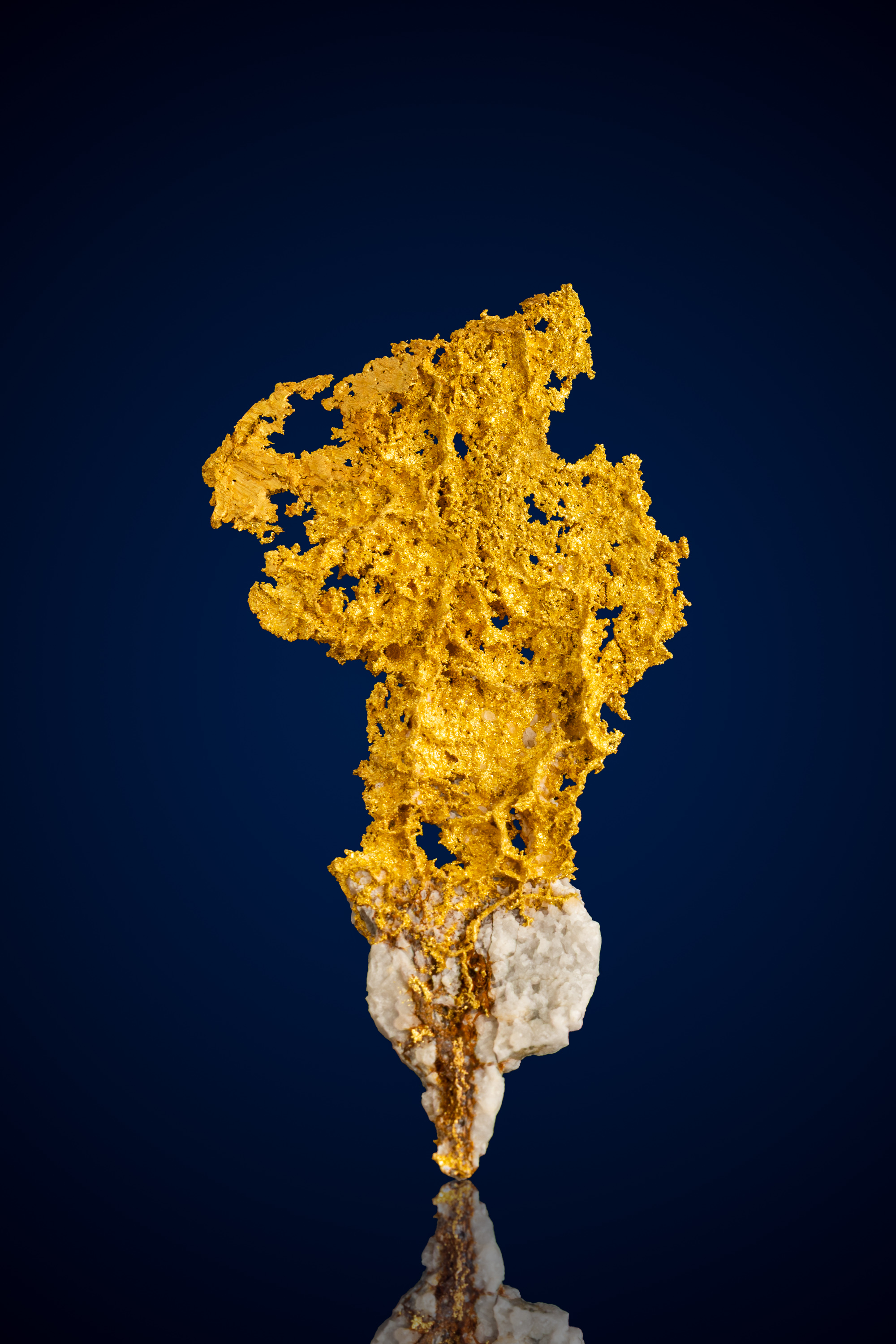 (image for) Monumental, Radiant Natural Gold Quartz Specimen - Tuolumne County, CA - 14.54 grams